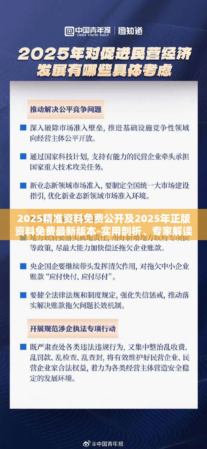 2025精准资料免费公开及2025年正版资料免费最新版本-实用剖析、专家解读解释与落实?