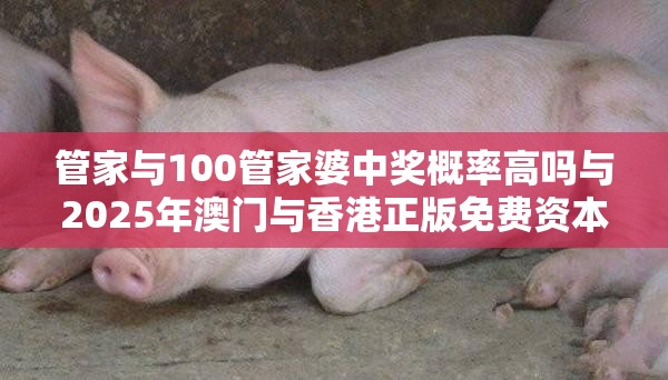 管家与100管家婆中奖概率高吗与2025年澳门与香港正版免费资本车-营销释义、专家解析解释与落实,小心言过其实推广
