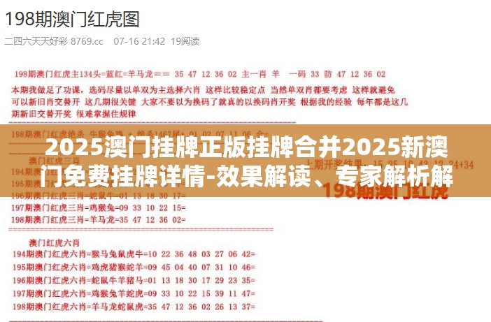 新金
